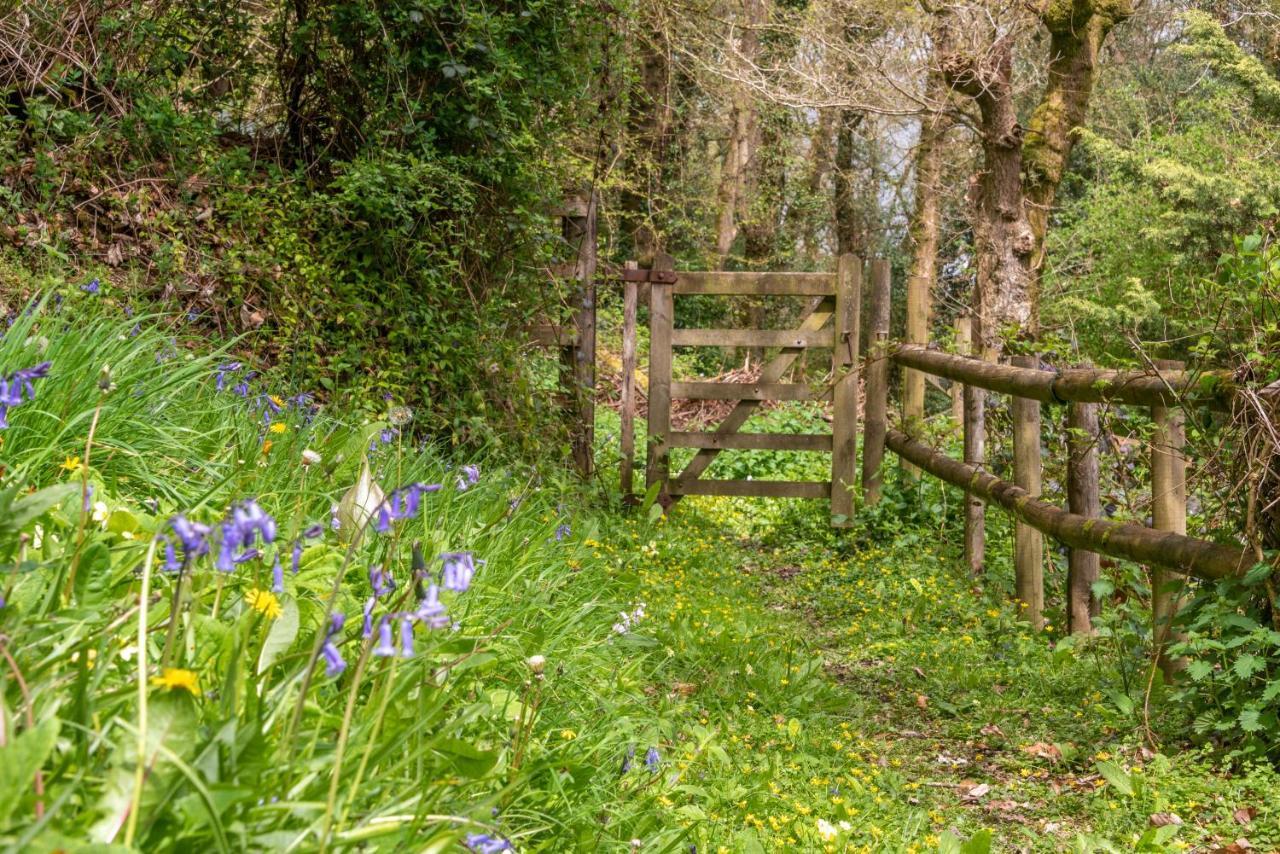 Bed and Breakfast Nutsford House Dulverton Exteriér fotografie