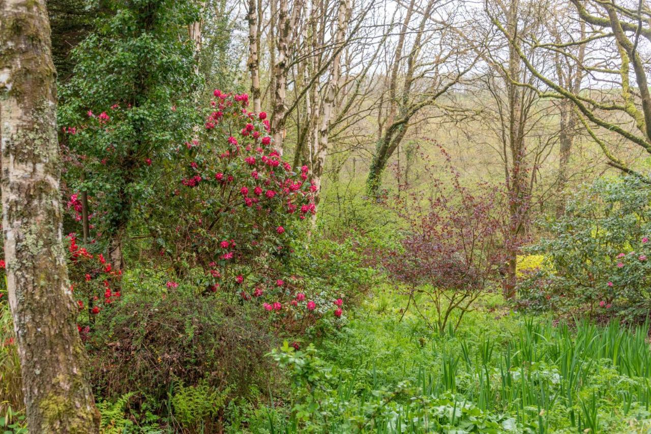 Bed and Breakfast Nutsford House Dulverton Exteriér fotografie